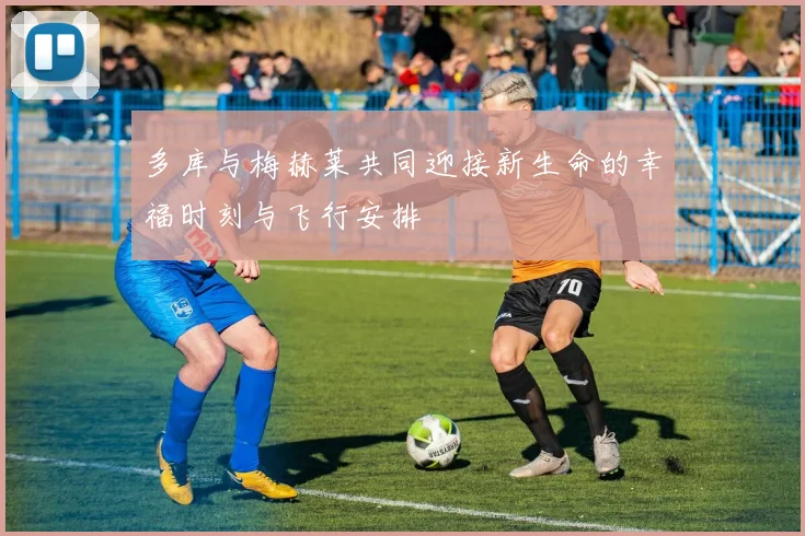 多库与梅赫莱共同迎接新生命的幸福时刻与飞行安排